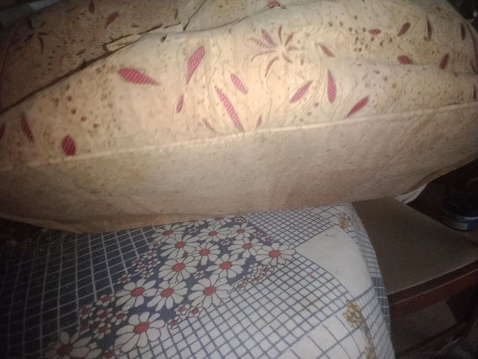 Mala de cortiça novas