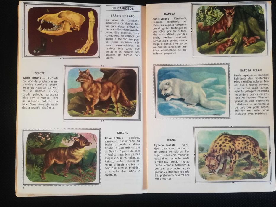 Caderneta completa Figurinhas de Animais