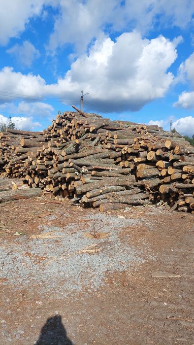 Дрова Безкоштовна Доставка Якісні