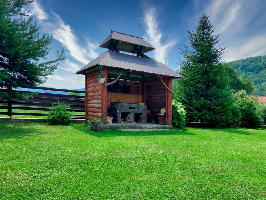 Будинок в Карпатах