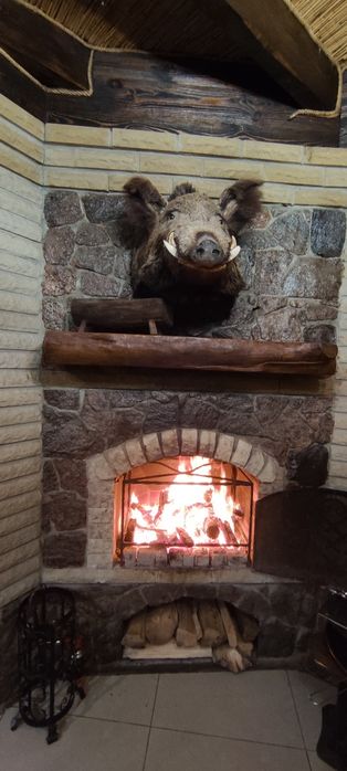 Будинок-казка для  дітей та дорослих чан,баня, басейн.