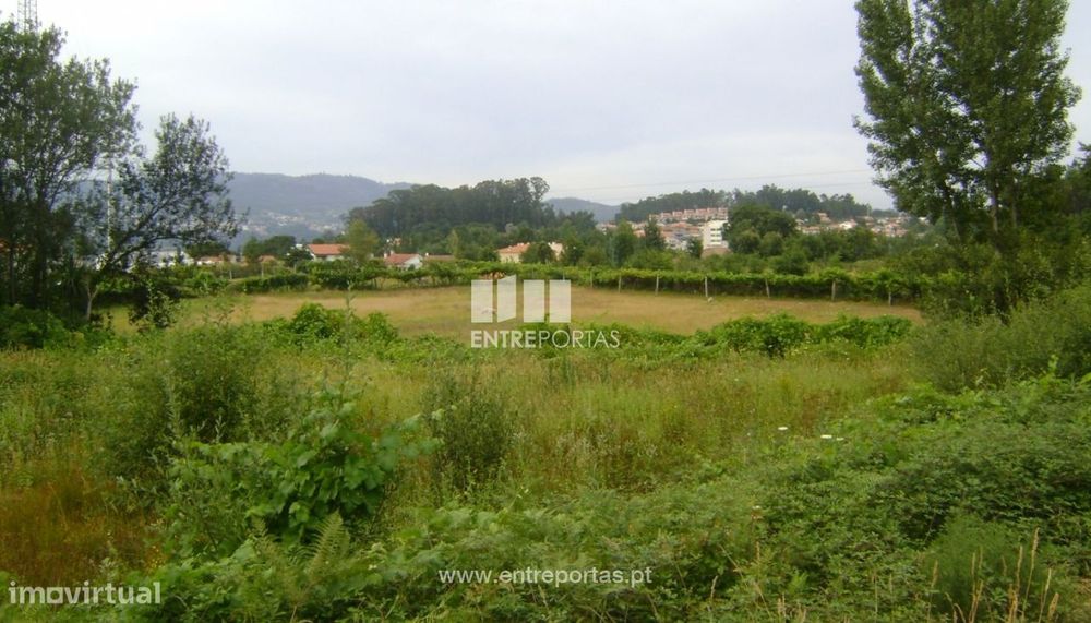 Venda Terreno, Ariz, Marco de Canaveses — Pêra Velha, Aldeia De Nacomba E Ariz, Viseu