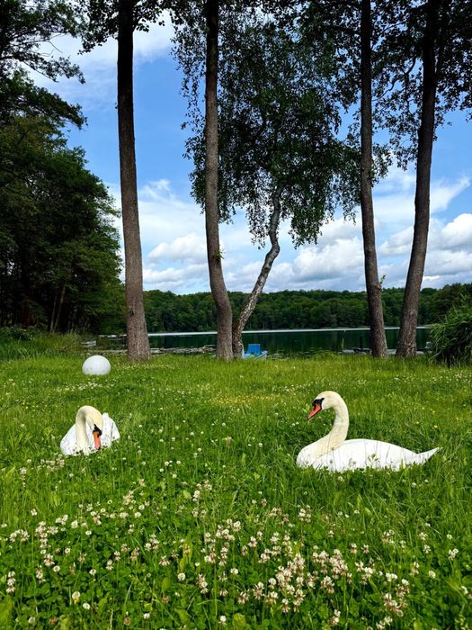 Czarne Domki nad jeziorem z balią/ jacuzzi i sauną