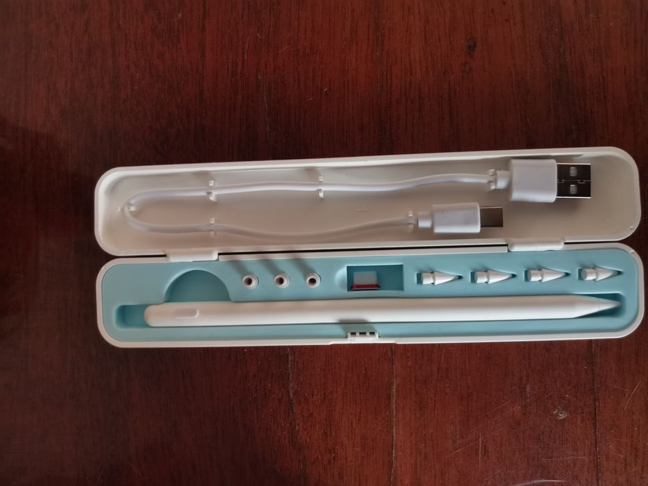 Стилус  у  кейсі