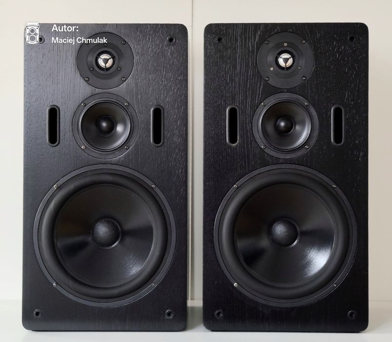 T+A Stratos P33 Vifa Seas DUŻE monitory
