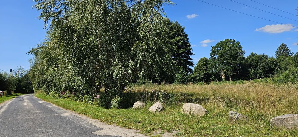 Zdjęcie 6
