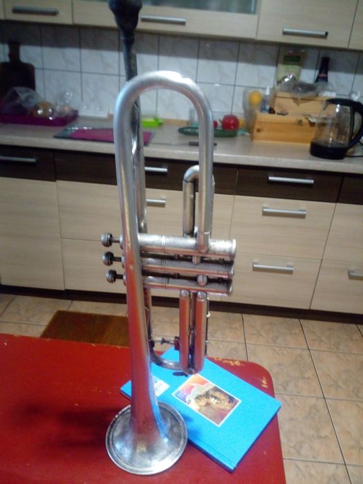 Zabytkowa kolekcjonerska trąbka muzyczna