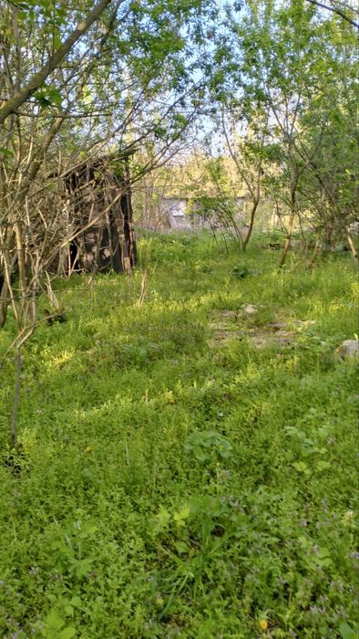 Продаж Ділянки  35 сот. с. Копачів, м . Обухів 14 км