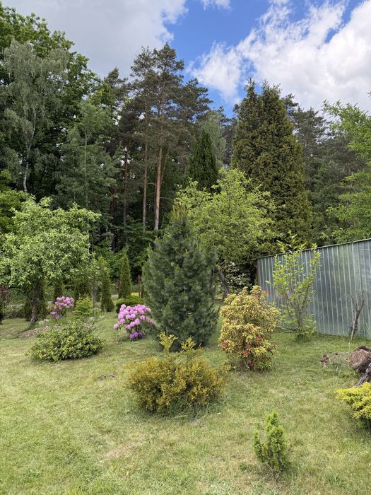 Działka z ogrodem, garażem i altanka. Na sprzedaż lub zamianę - View 6