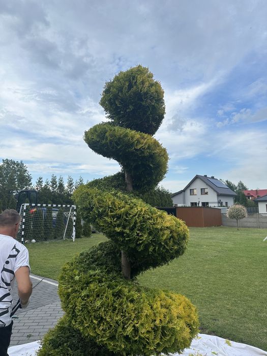 Ogrody ,formowanie krzewów ozdobnych,pielegnacja