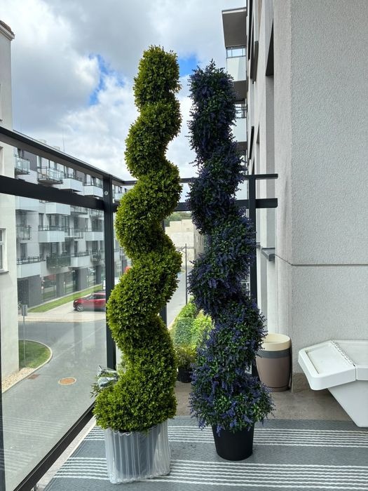 Drzewka 150cm Bukszpan I Lawenda