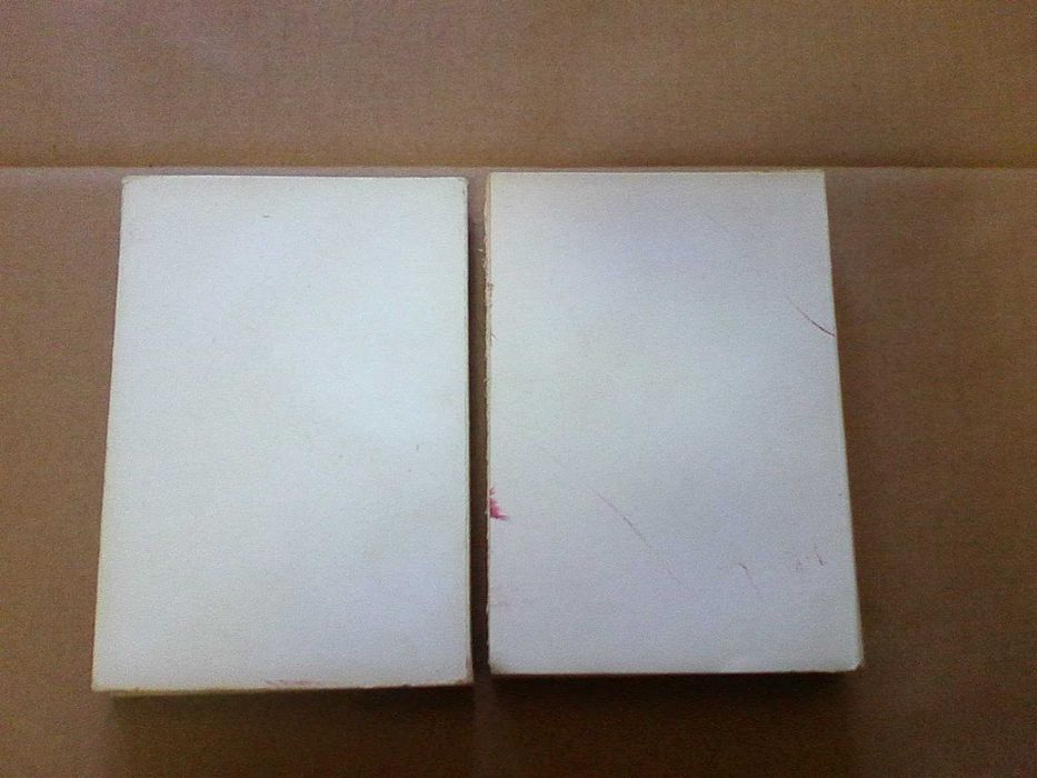 Anotações ao Presente I e II Volume