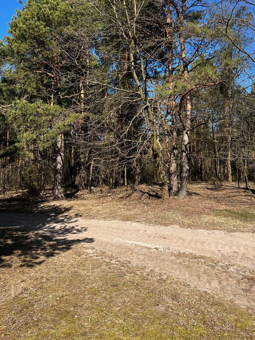 Działka budowlana Ruda Pniewnik