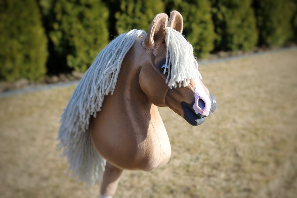 Hobby horse mes propozycje cenowe