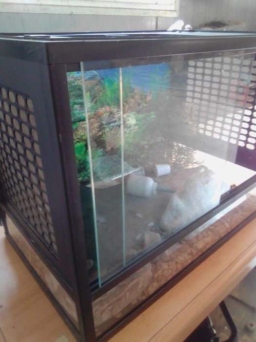 Répteis aquário novo
