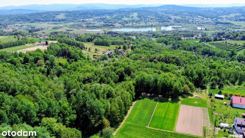 Działka 50,55 ar z WZ na dom | Siedliska Sławęcińskie - Widok 4