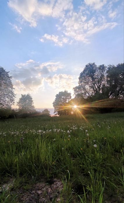 Działka rolna z łąką, lasem i stawem – 5,76 ha –  Gmina Wińsko