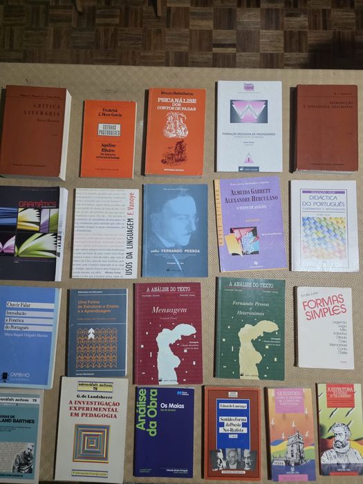 Livros para ensino Ensino Secundário e Universitário Área de letras - Linguística e Literatura moderna