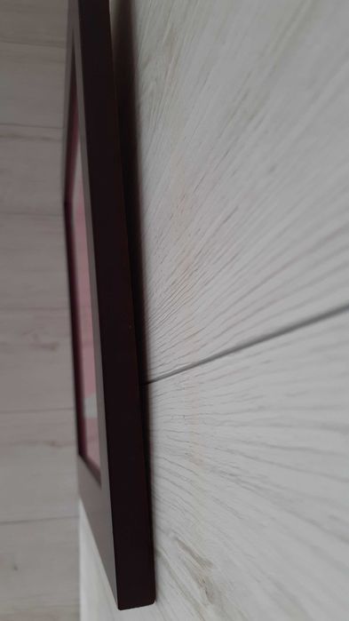 4 quadros com ilustrações de ANIMAIS - cores vivas