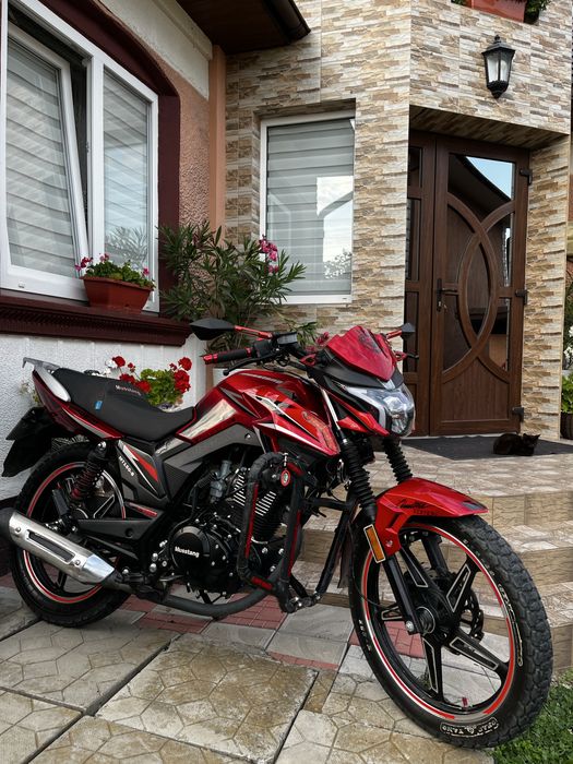 Мустанг регіон фортуна 150