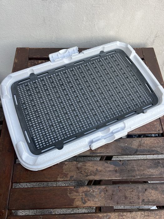 Tapete wc para cão