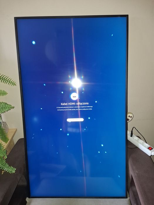 Monitor Samsung 55 cali - do powieszenia