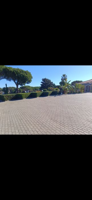 Manutenção Jardins & Piscinas | Garden & Pool Maintenance 
 Jardins &