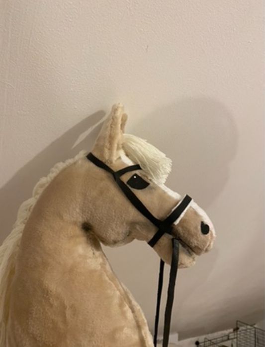 Hobby Horse na sprzedaż