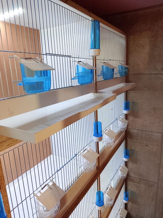 Regał/Klatki na ptaki