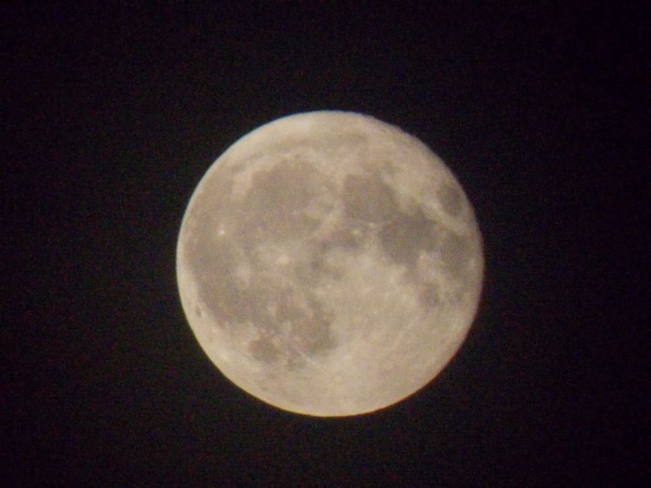 Фотоапарат nikon coolpix L810