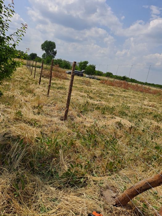 Ogrodzenie tymczasowe budowlane leśne