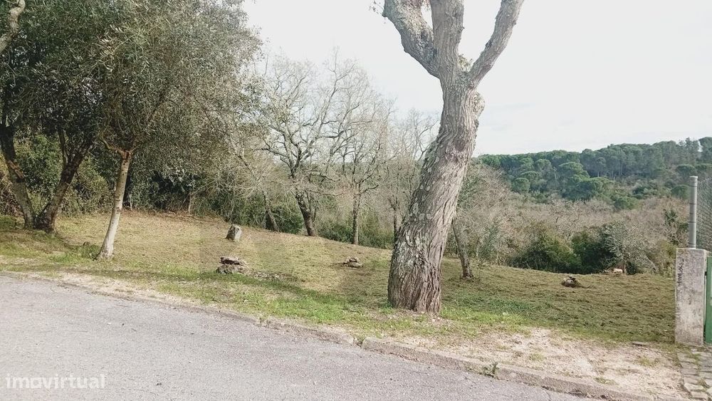 Terreno Urbano na Encosta do Sol – Vila de Soure