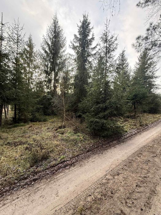 Działka budowlana okolice Gródka - Widok 5
