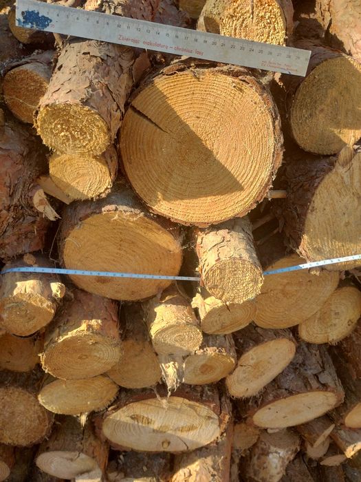 Drzewo opałowe sosna gruba sucha 2 lata leżała pod dachem