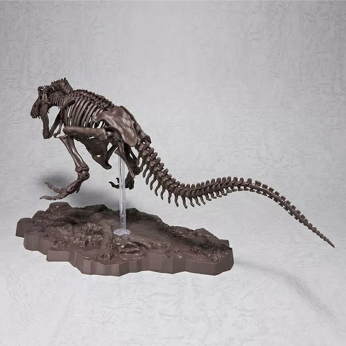 Esqueleto T-Rex Tiranossauro Fóssil