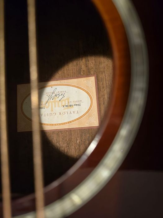 Viola Taylor 214ce‑SB DLX