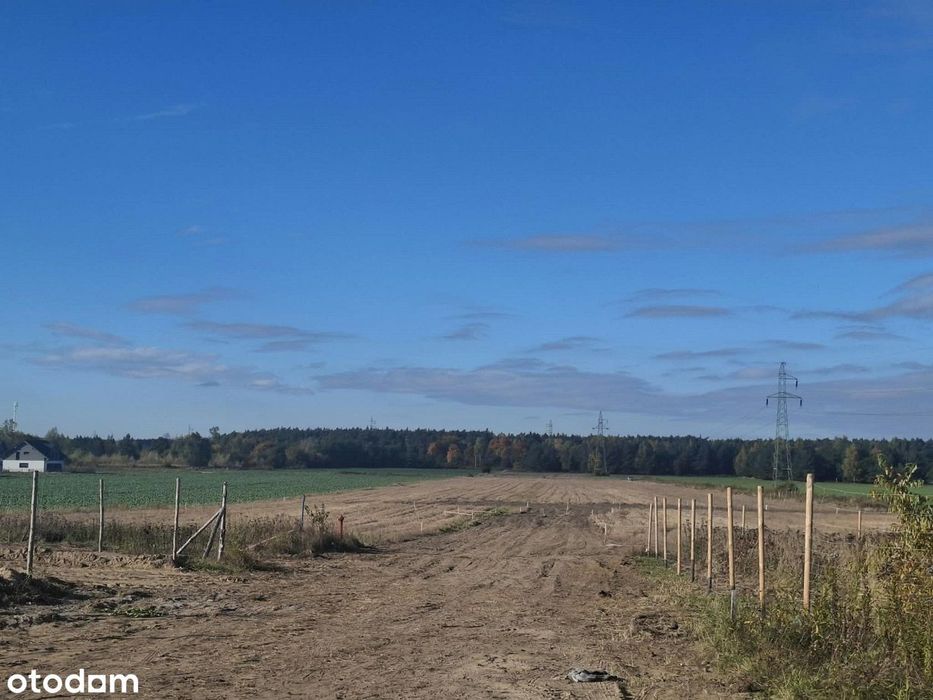 Działka, Gruszczyn