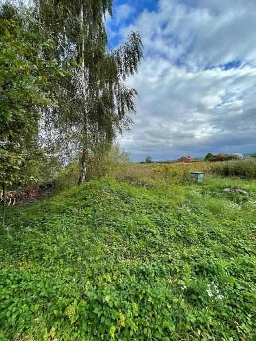 Земельна ділянка