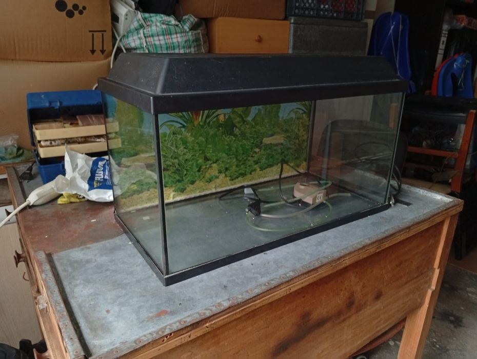 Vendo 3 aquários com acessórios