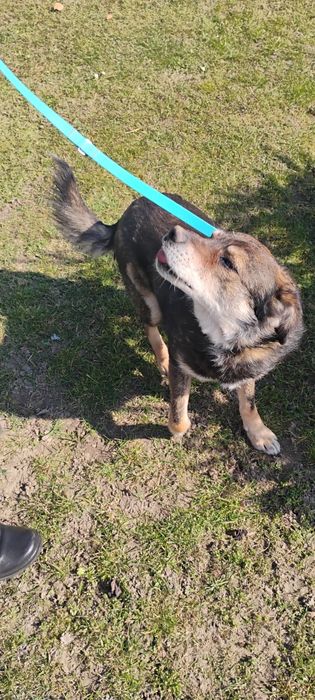 Pilnie szukamy domu.