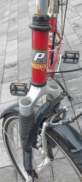 Rower dziecięcy  Pegasus