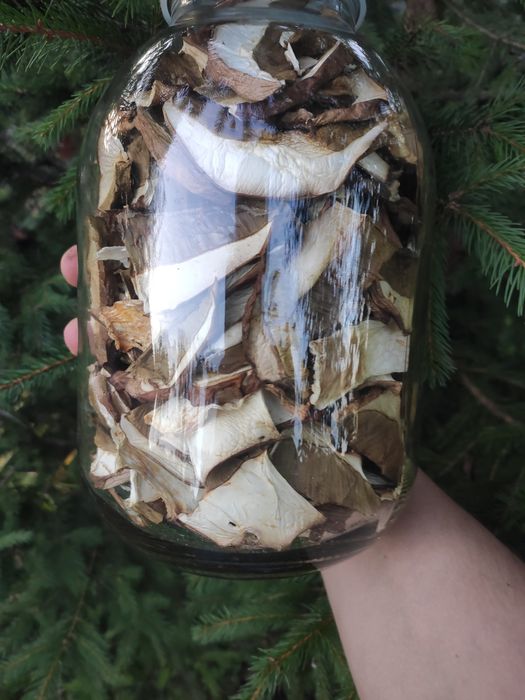 Гриби сушені Білі 2024, мариновані