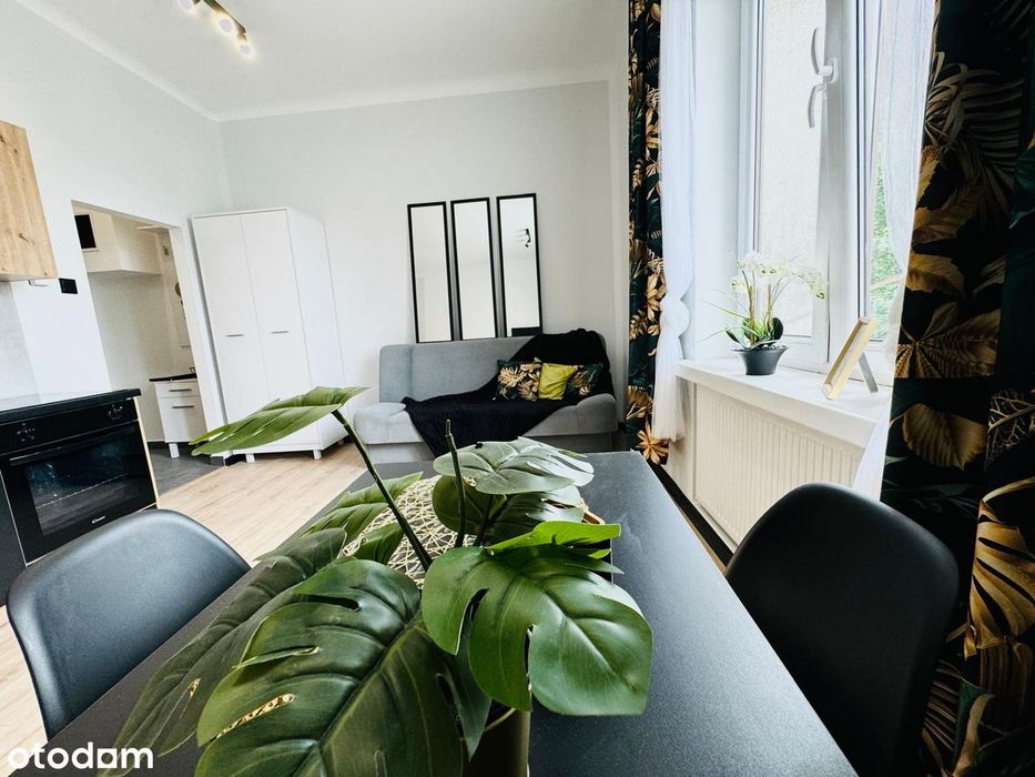 Kawalerka do wynajęcia PO REMONCIE Centrum Kielc - View 4