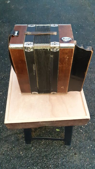 Vendo Concertina Hohner Piccola
