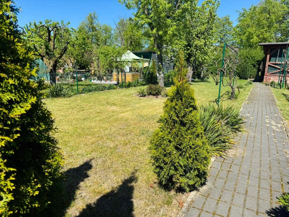 Działka ROD im. Adama Mickiewicza – Szamotuły, ul. Sportowa 6B | 403 m² - Widok 3