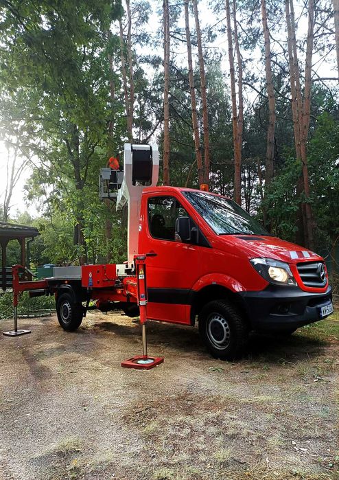 Wycinka i skracanie drzew, wywóz gałęzi, frezowanie pni.