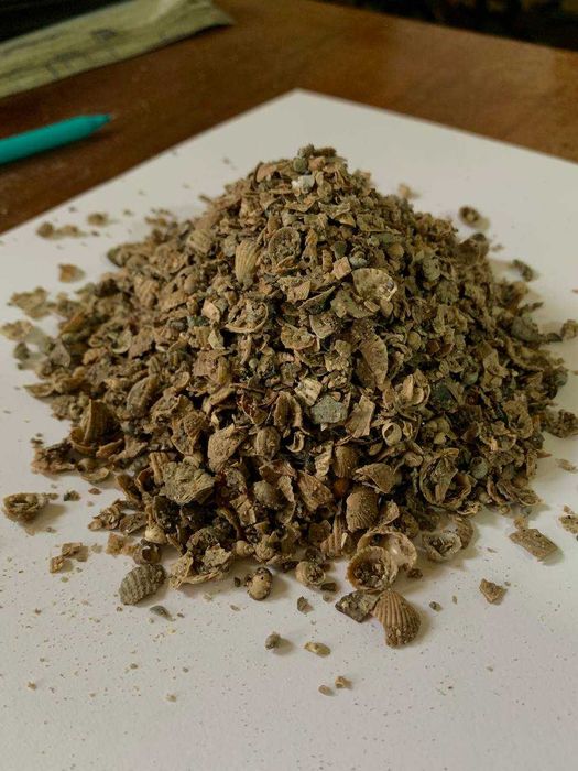 ракушка кормовая мушля ракушка 24 кг