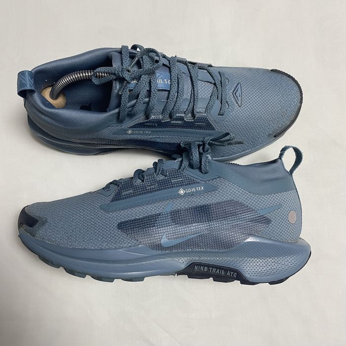 Nike Pegasus Trail 5 Gtx Blue