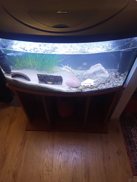 Sprzedam akwarium 112 l panorama