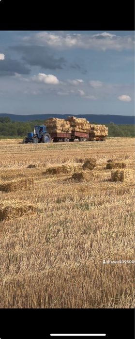 Продам тюки соломи